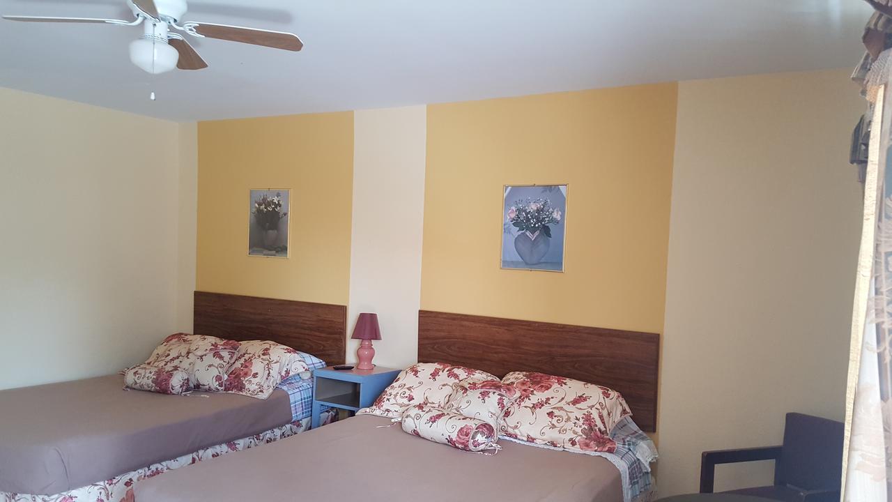 Alpine Motel In Heart Of Wisconsin Dells Downtown. ภายนอก รูปภาพ